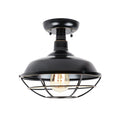 1 Light Ceiling Light In Imperial Black N A