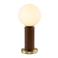 1 Light Dark Oak And Stain Brass Table Lamp With A Glass Shade