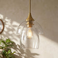 1 Light Pendant