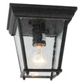 1 Light Outdoor Ceiling Lantern In Oil Rubbed Bronze