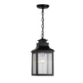 1 Light Outdoor Hanging Light Imperial Black