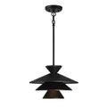 1 Light Pendant Light