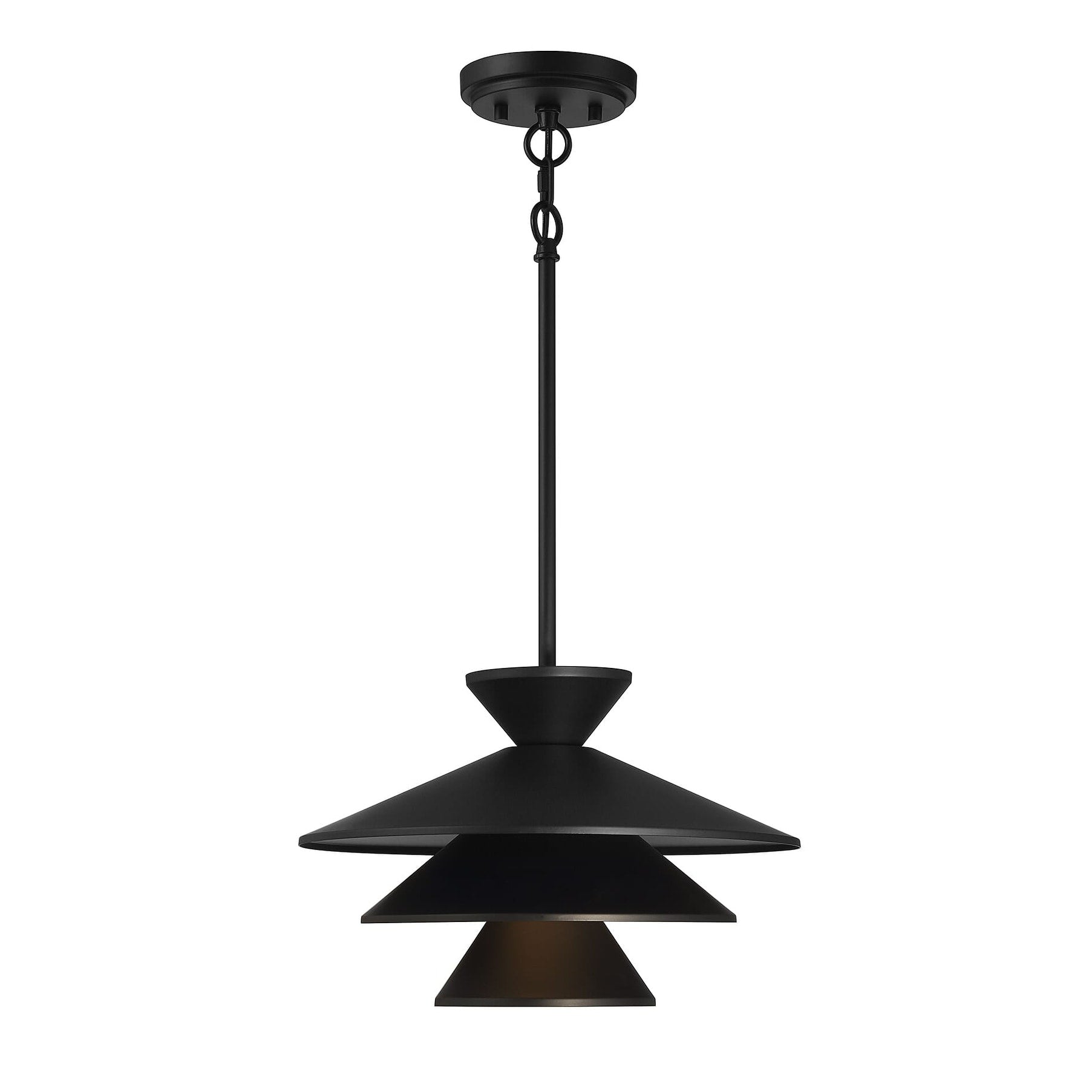 1 Light Pendant Light