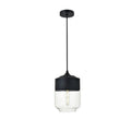 1 Light Pendant With 7 Inch Clear Glass