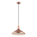 1 Light Matte Rose Gold Hanging Pendant