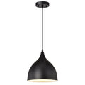 1 Light Textured Black Hanging Pendant