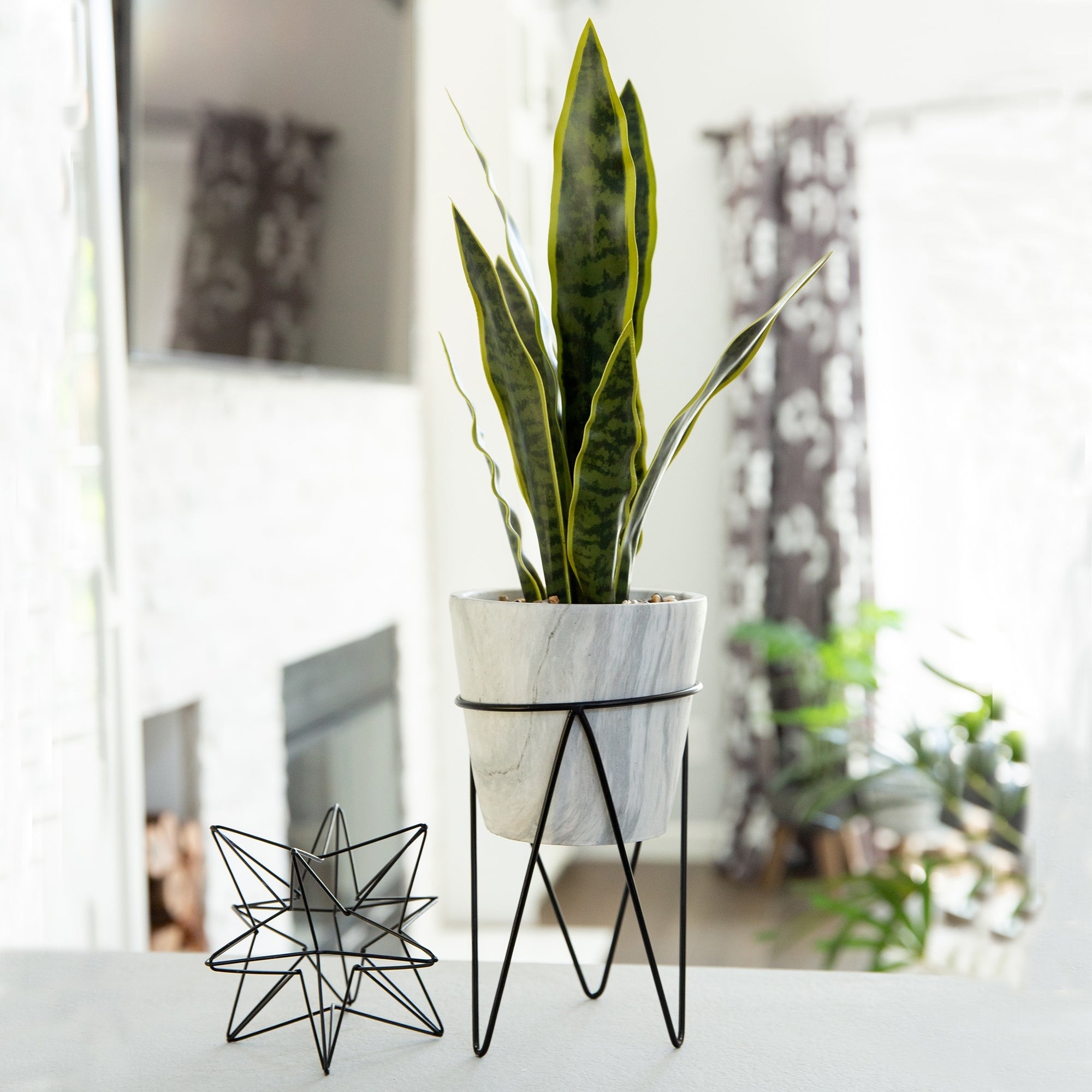 1.75Ft Snake Plant In Marble On Metal Stand One Size