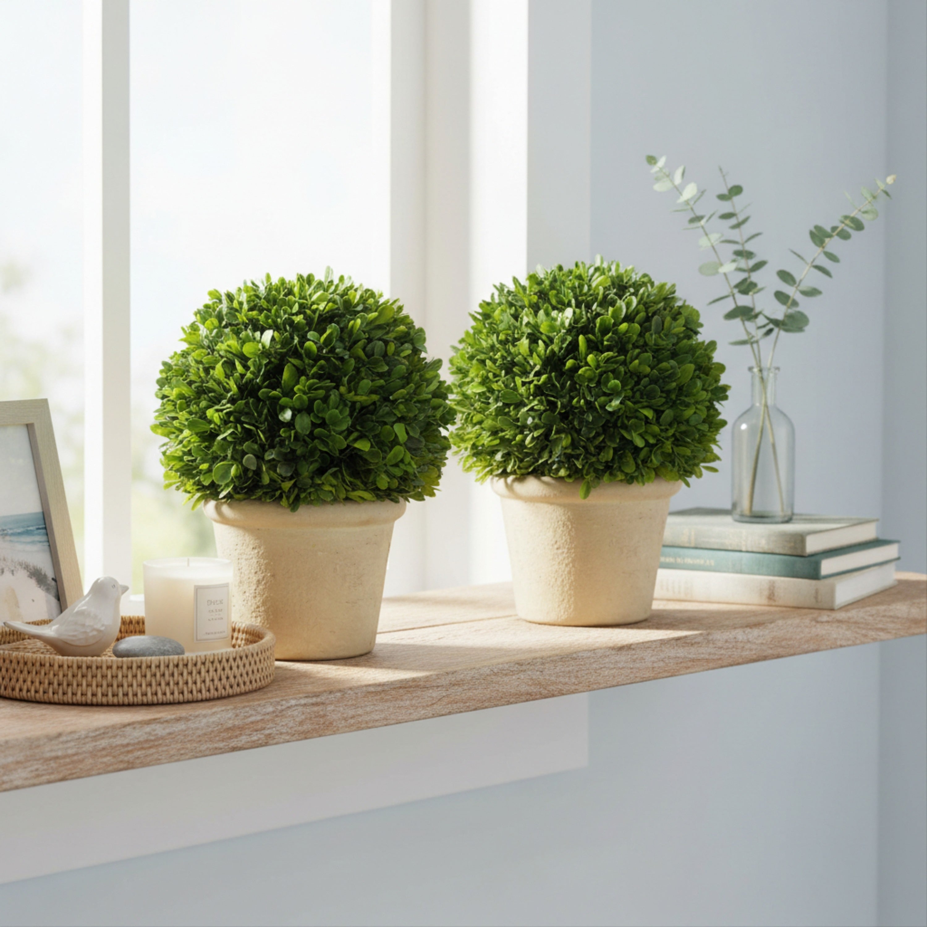 Evergreen 10.75 Handcrafted Preserved Boxwood Ball Topiary In Terracotta Pot Set Of 2