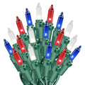 100 Light Christmas Mini Light Set Green Wire 50 Long