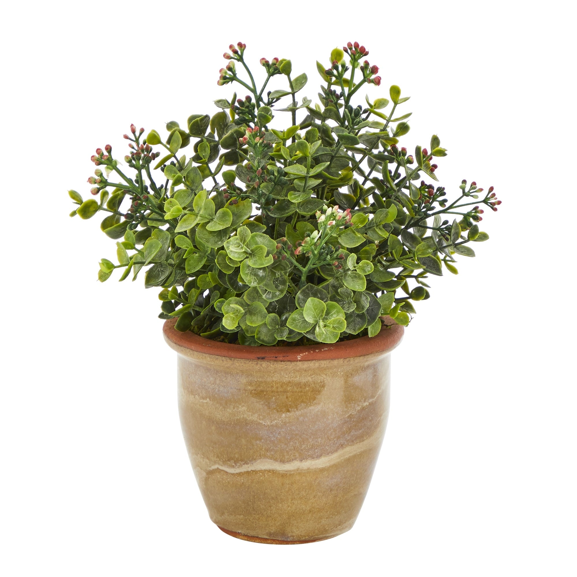 10 Eucalyptus And Sedum Succulent Artificial Plant In Ceramic Planter