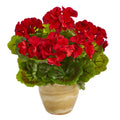 11 Geranium Plant In Ceramic Planter Uv Resistant Indoor Outdoor