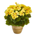 11 Geranium Plant In Ceramic Planter Uv Resistant Indoor Outdoor