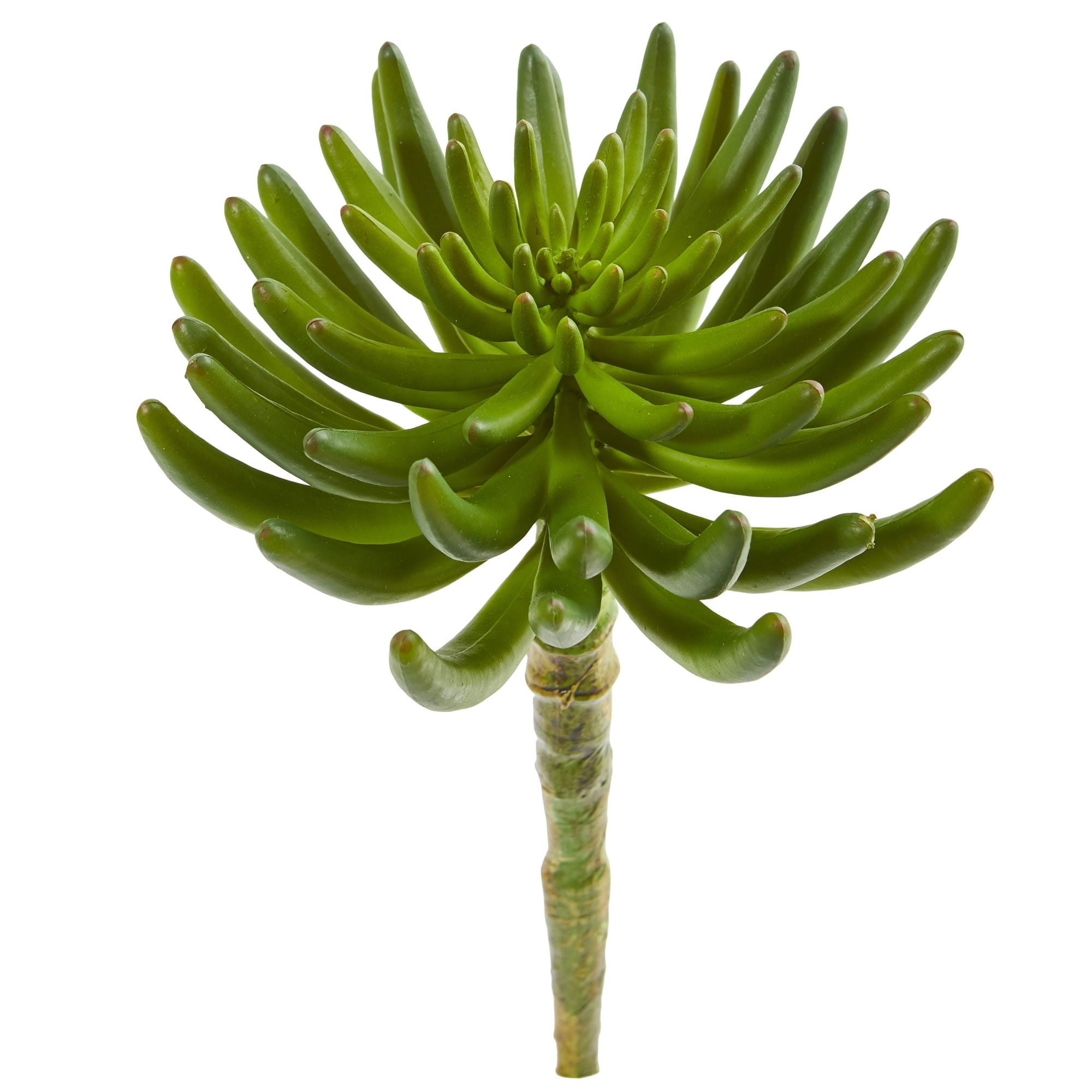 12 Succulent Artificial Plant Set Of 6