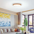 12 Inch Flush Mount Light Plastic Light Fixture Walnut Ceiling Light N A