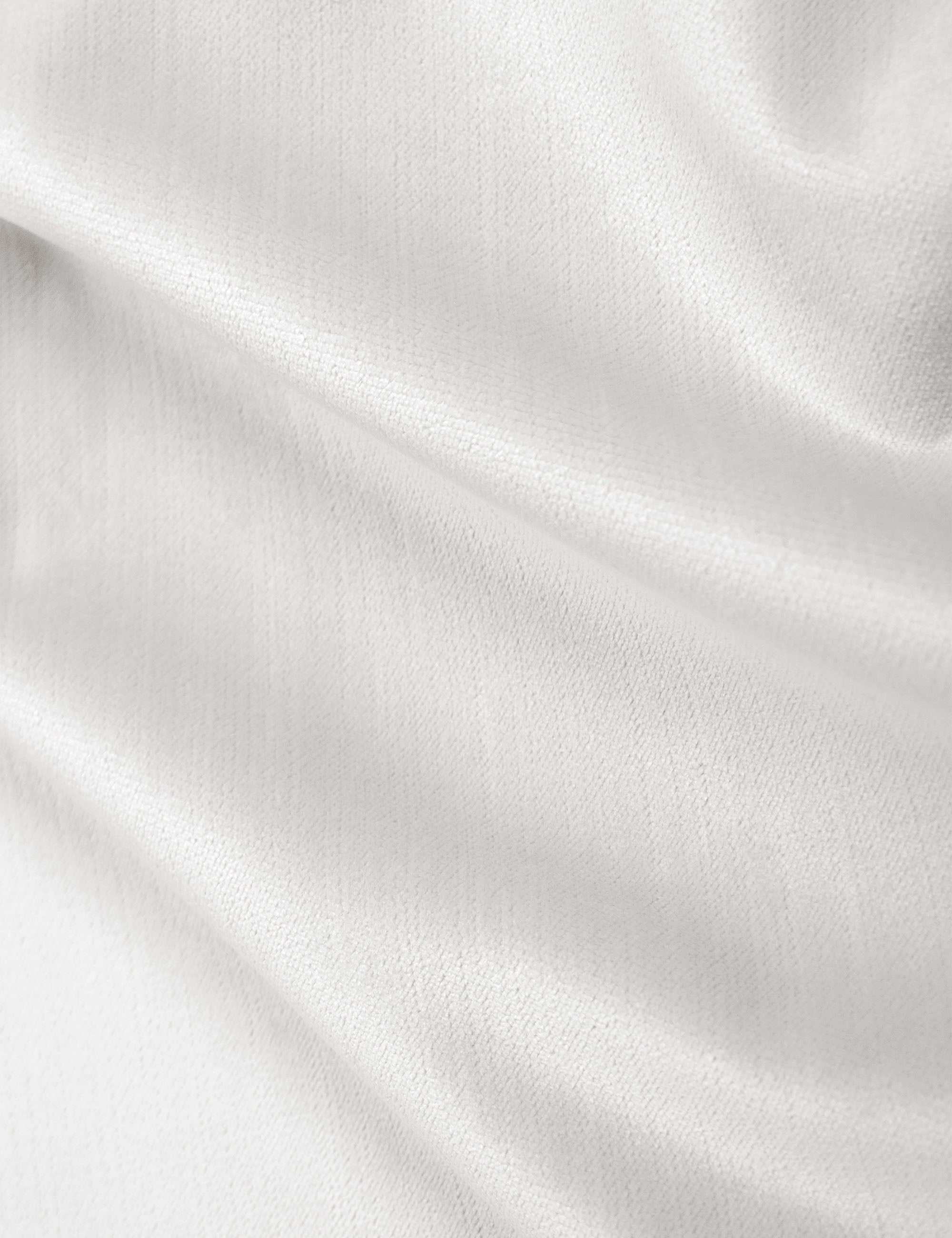 Ivory Swatch