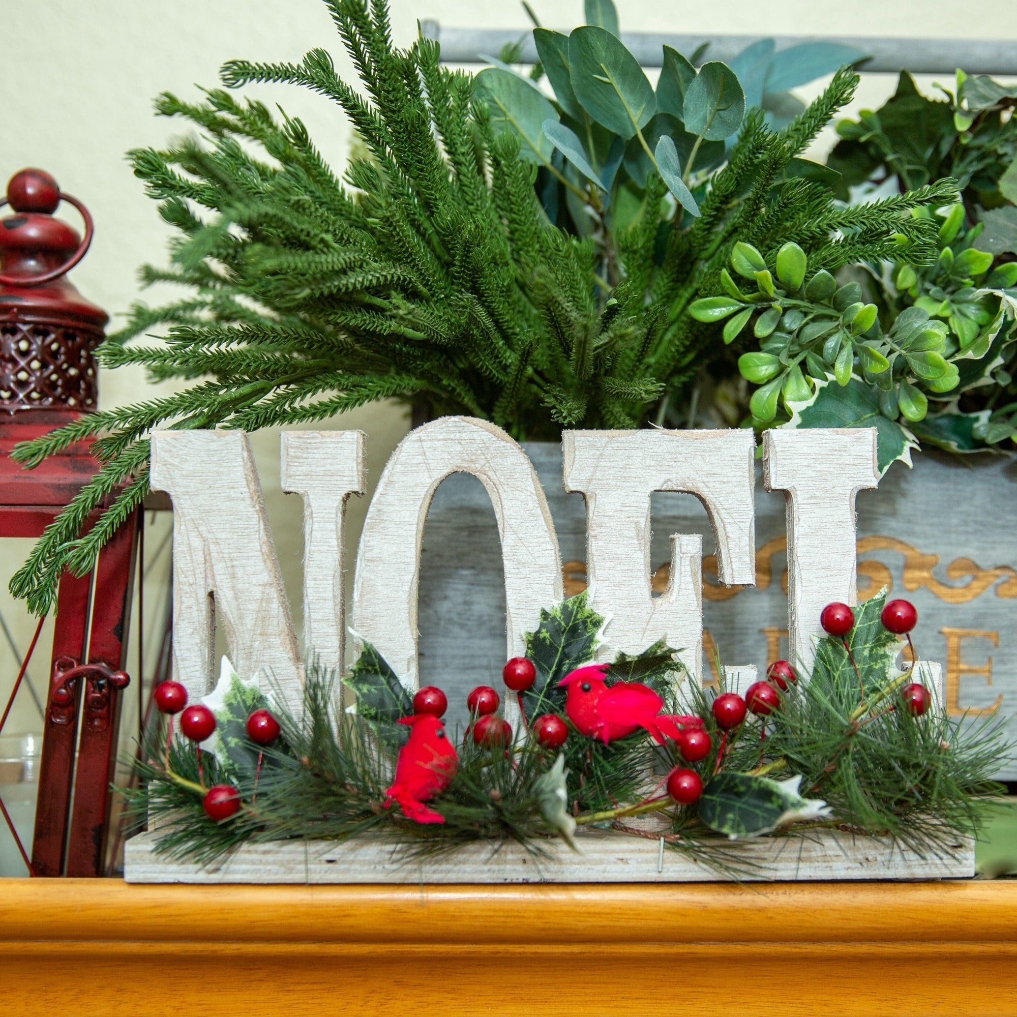12 L Noel Sign W Cardinal Berries
