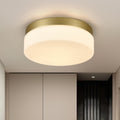 12 Modern Led Flush Mount Ceiling Light