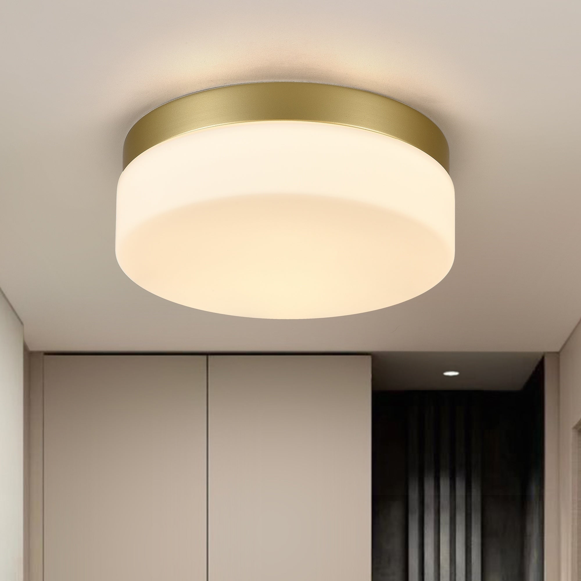 12 Modern Led Flush Mount Ceiling Light