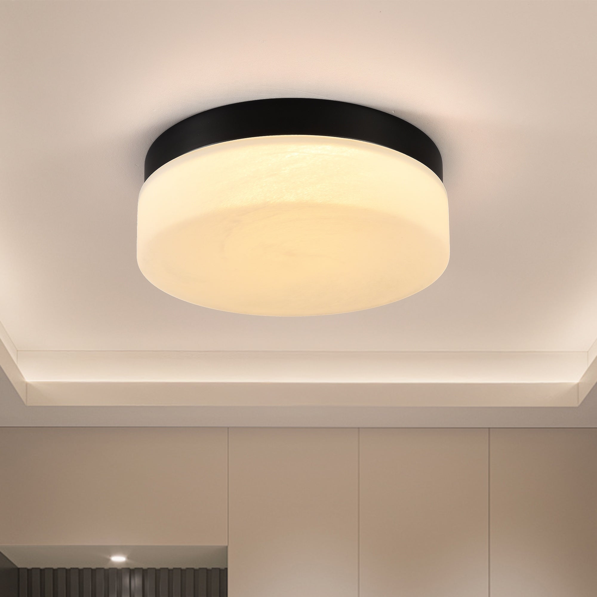 12 Modern Led Flush Mount Ceiling Light