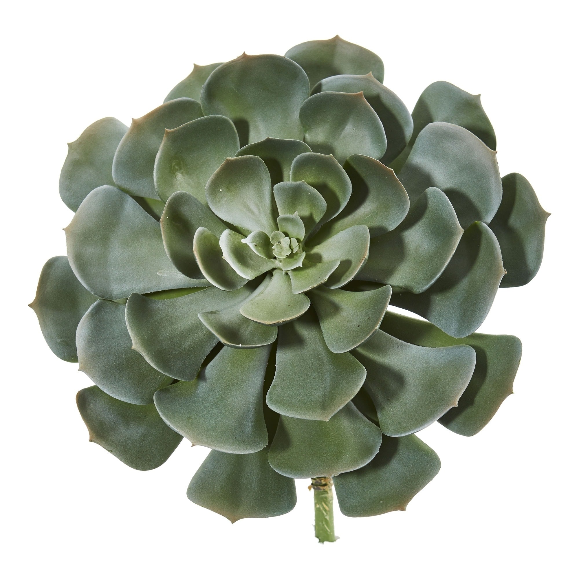 13 Giant Echeveria Succulent Pick Artificial Plant Set Of 2