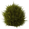 14 Inch Cedar Decorative Sphere