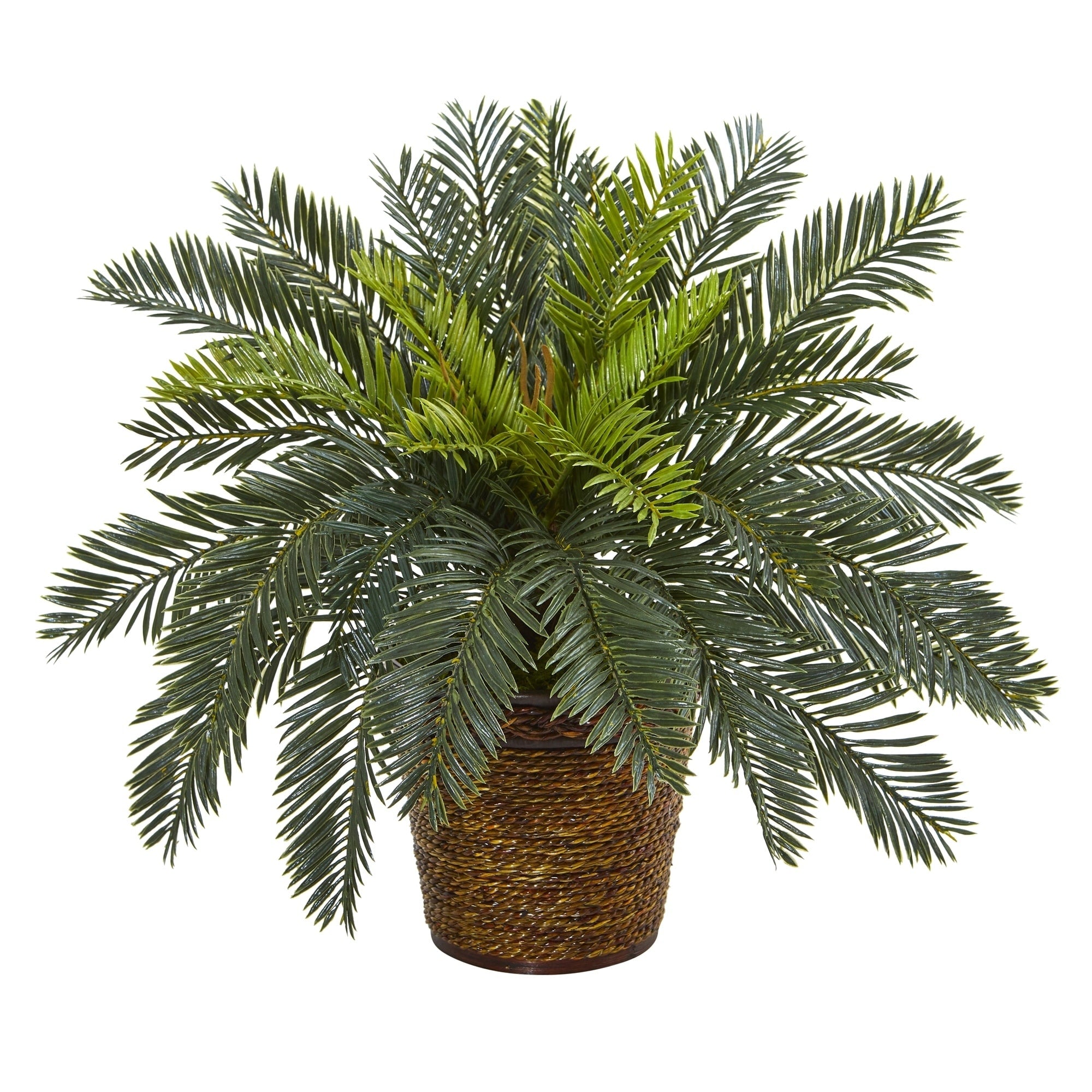 15 Cycas Artificial Plant In Basket