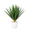 15 In Uv Resistant Agave Plant In White Planter Indoor Outdoor
