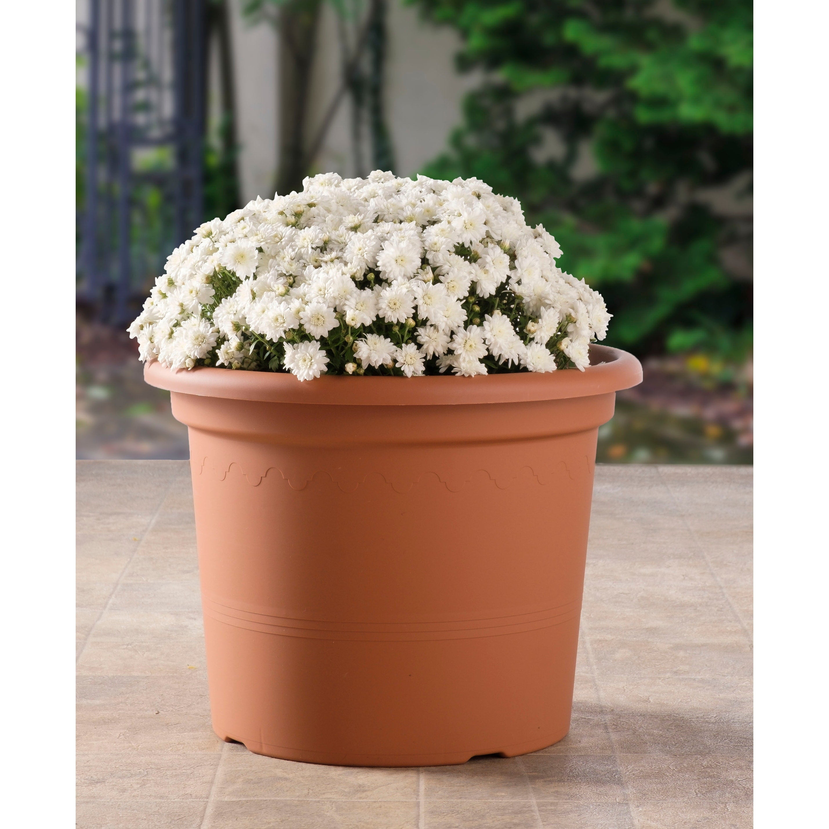 15.75 Geo Planter In Terra Cotta 15.5 W X 11.75 H