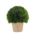 Evergreen 16 Handcrafted Preserved Boxwood Ball Topiary In Terracotta Pot