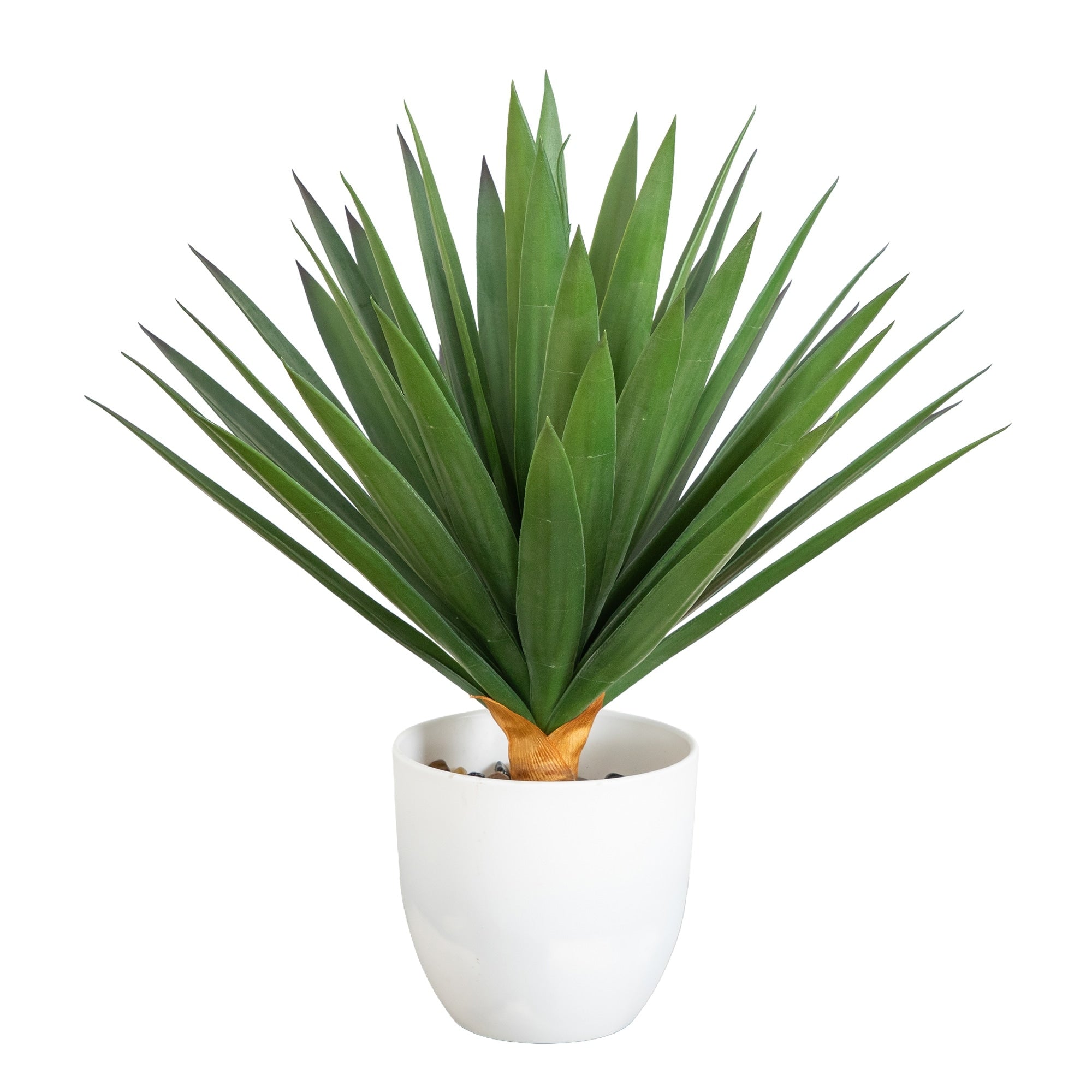 17 In Uv Resistant Agave Plant In White Planter Indoor Outdoor