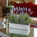 18 Inch Lavender Stalk In Wood Ledge Box