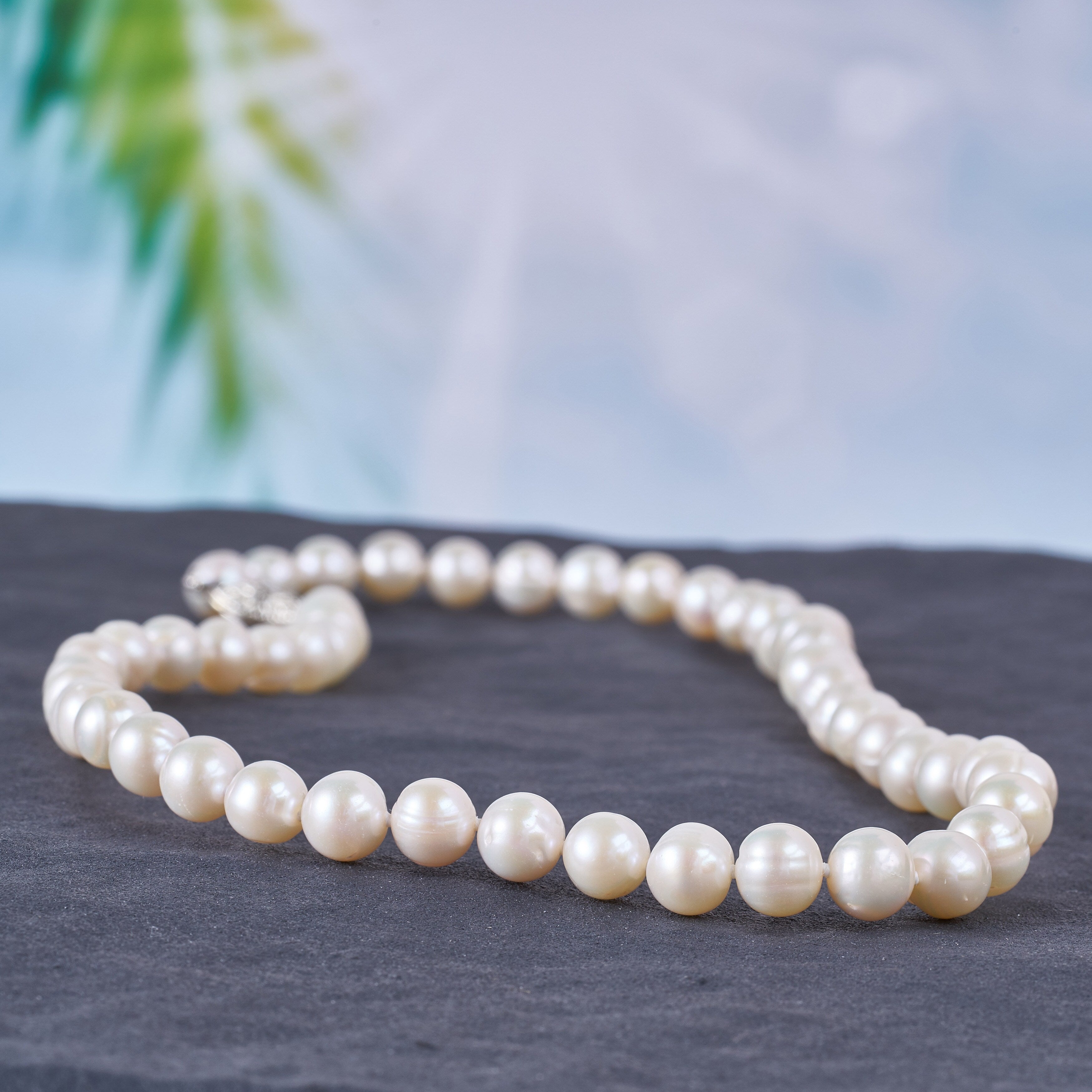 Miadora White Cultured Freshwater Pearl Necklace 7.5 8 Mm
