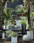 Shore White Cement Indoor/Outdoor Large Planter 20.75inH
