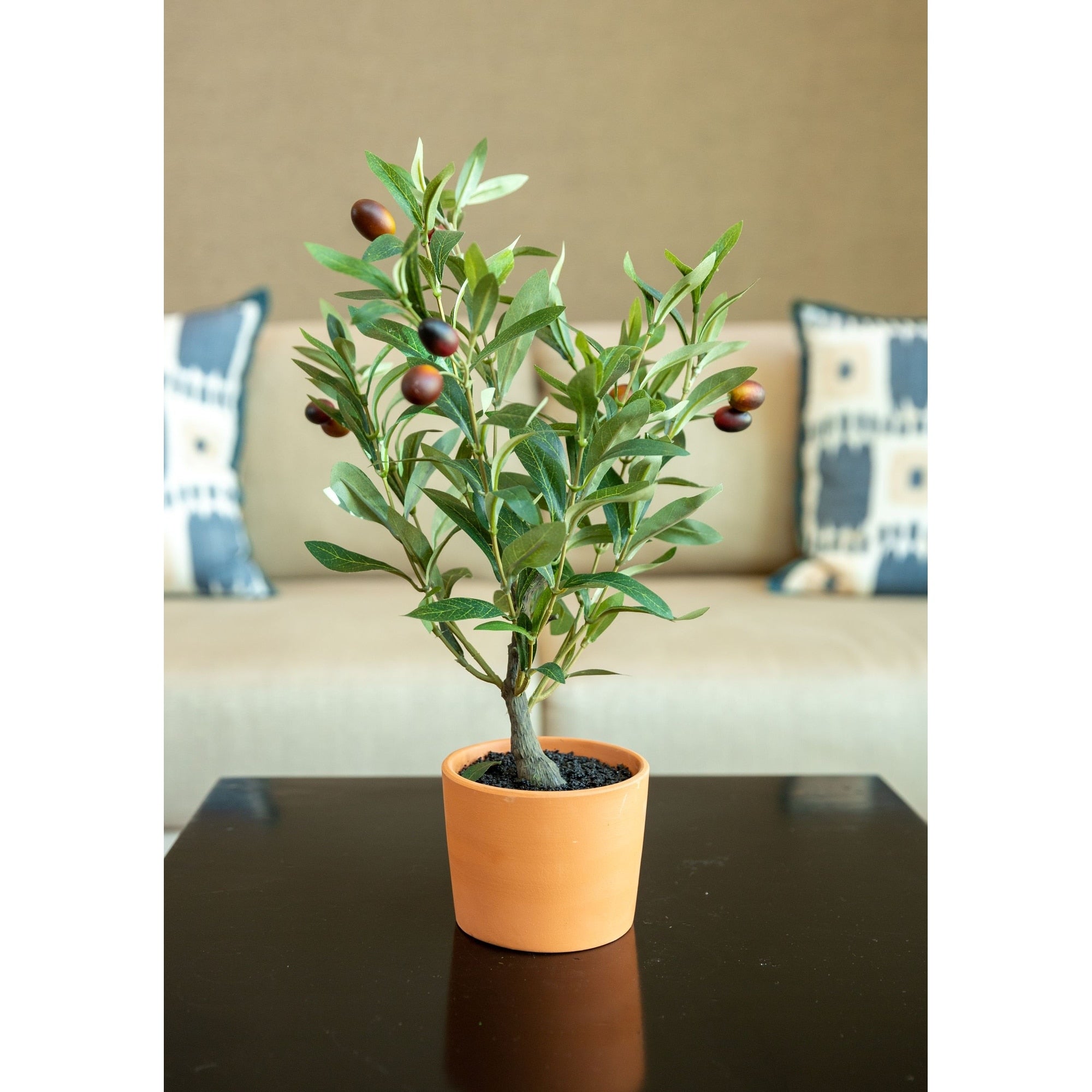 18 Olive Tree In 4.5 Clay Pot Orange Terracotta One Size