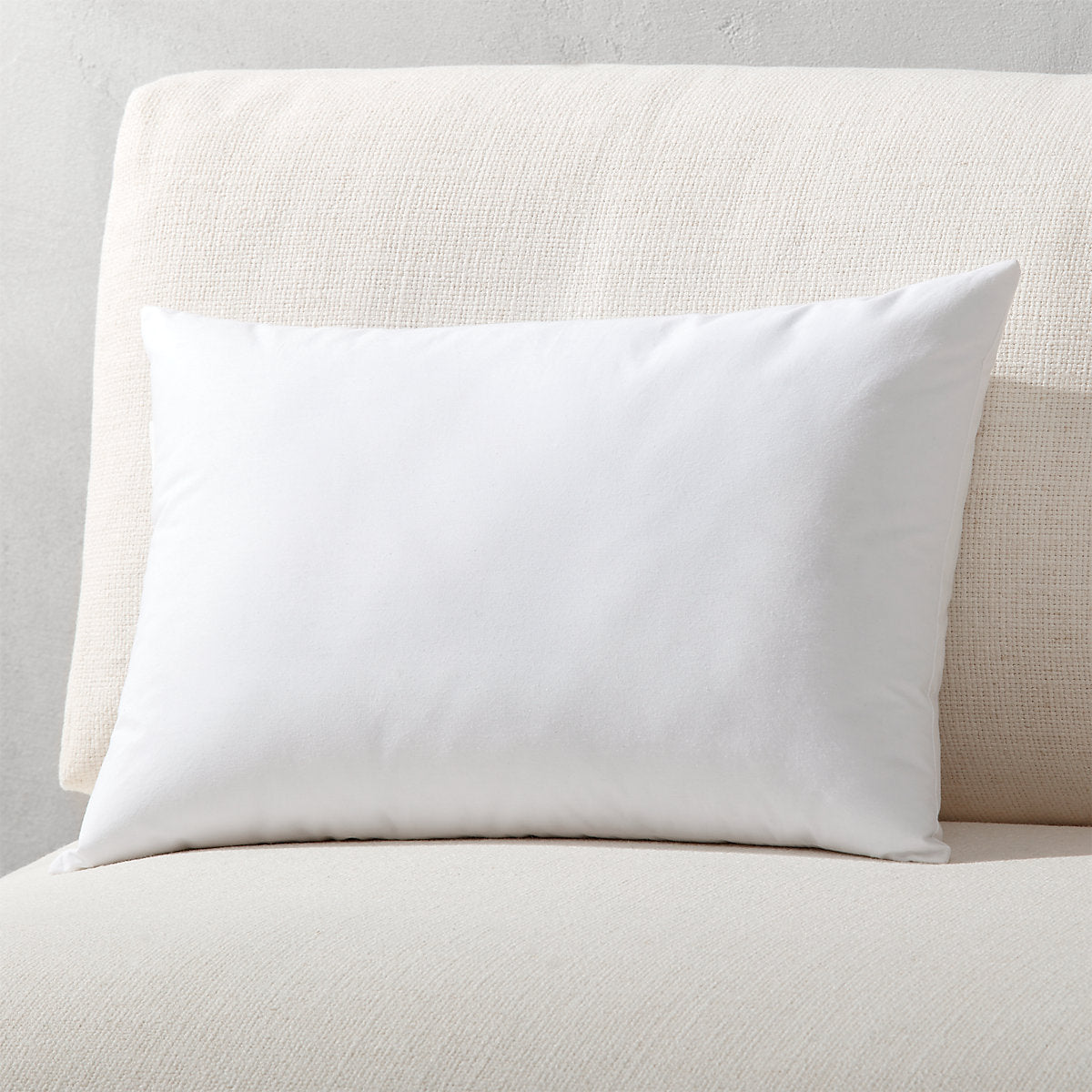 Hypoallergenic Down-Alternative Throw Pillow Insert 20inx20in