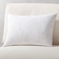 Feather-Down Throw Pillow Insert 23inx23in