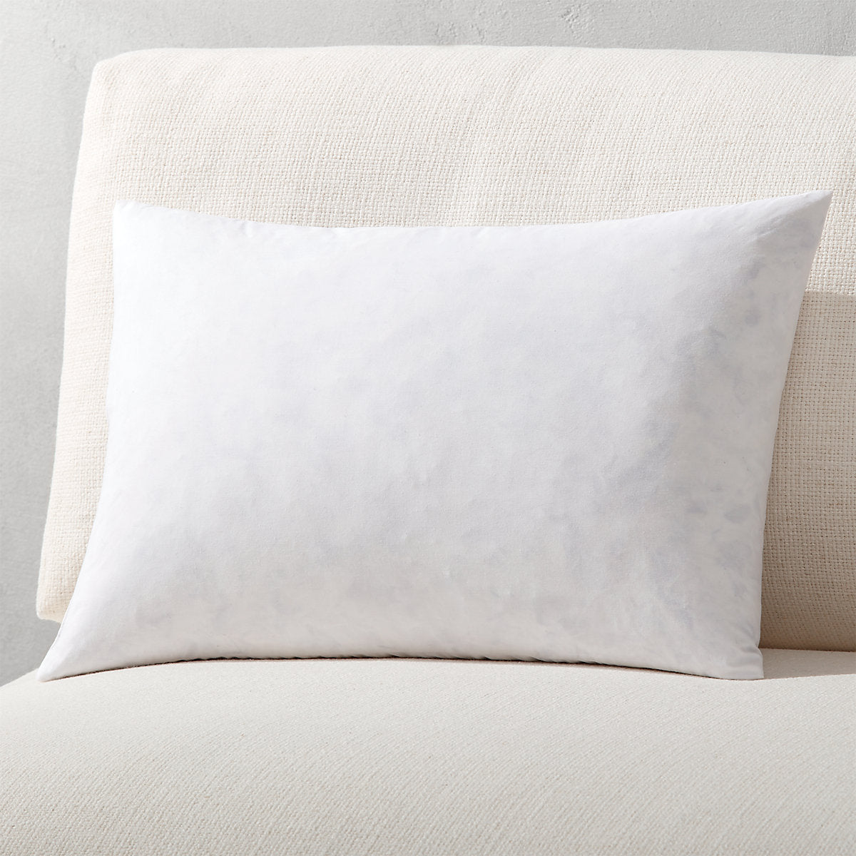Feather-Down Throw Pillow Insert 23inx23in