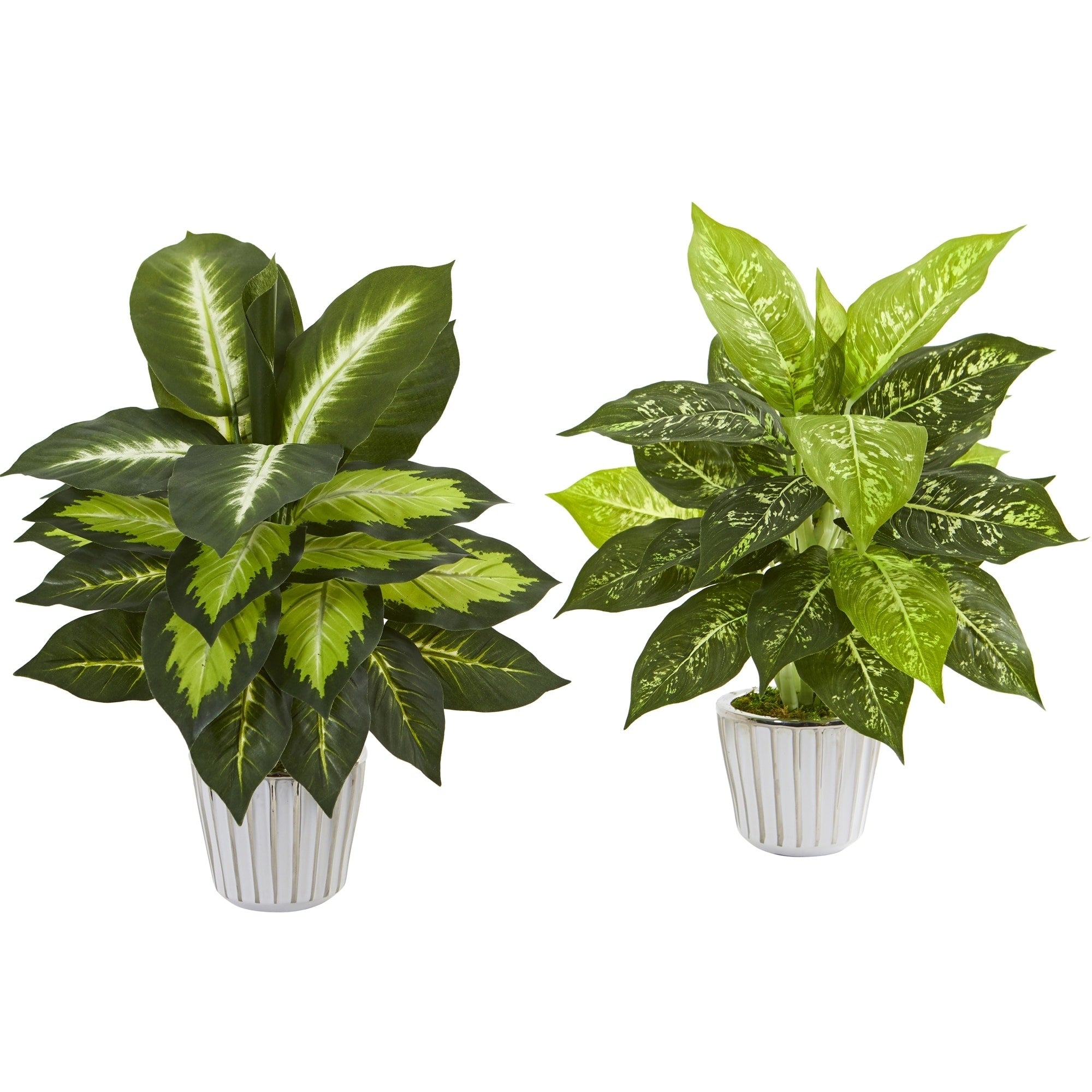 19 Dieffenbachia Artificial Plant In White Vase Set Of 2