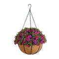 19 In Uv Resistant Dandelion And Aptenia Plant In Hanging Basket