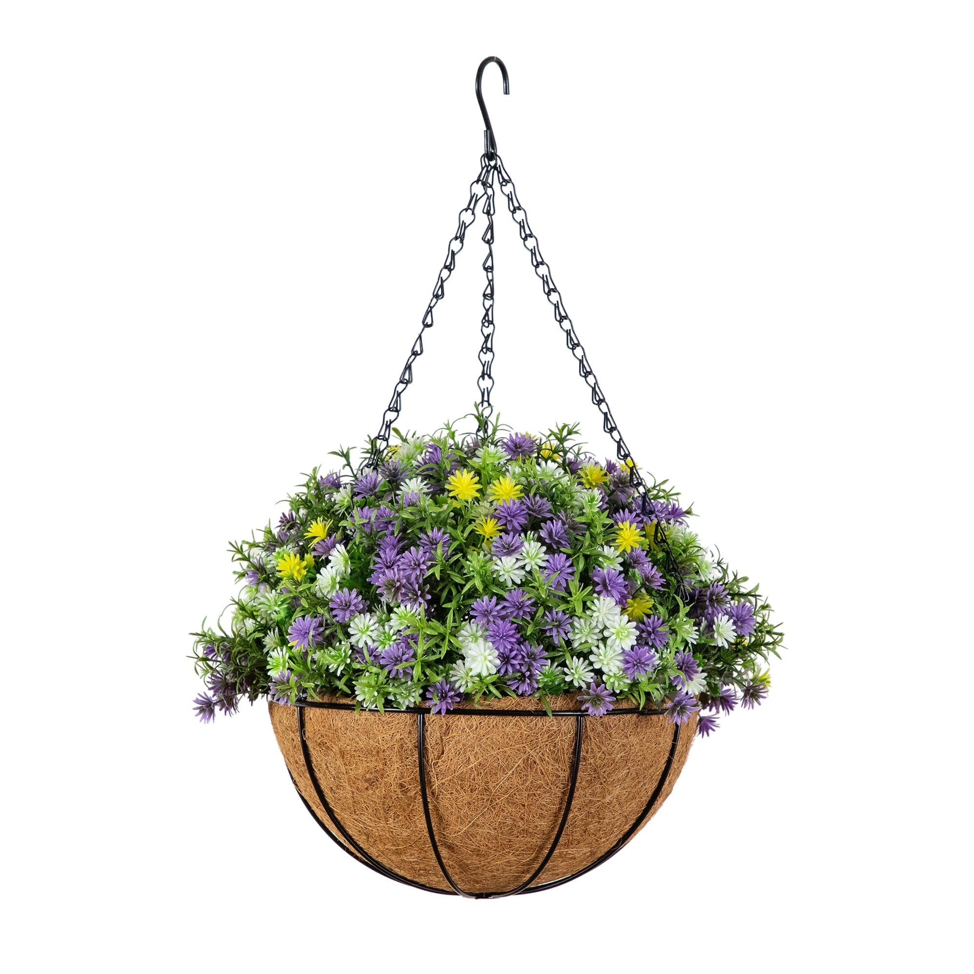 19 In Uv Resistant Dandelion And Rosemary Hanging Basket