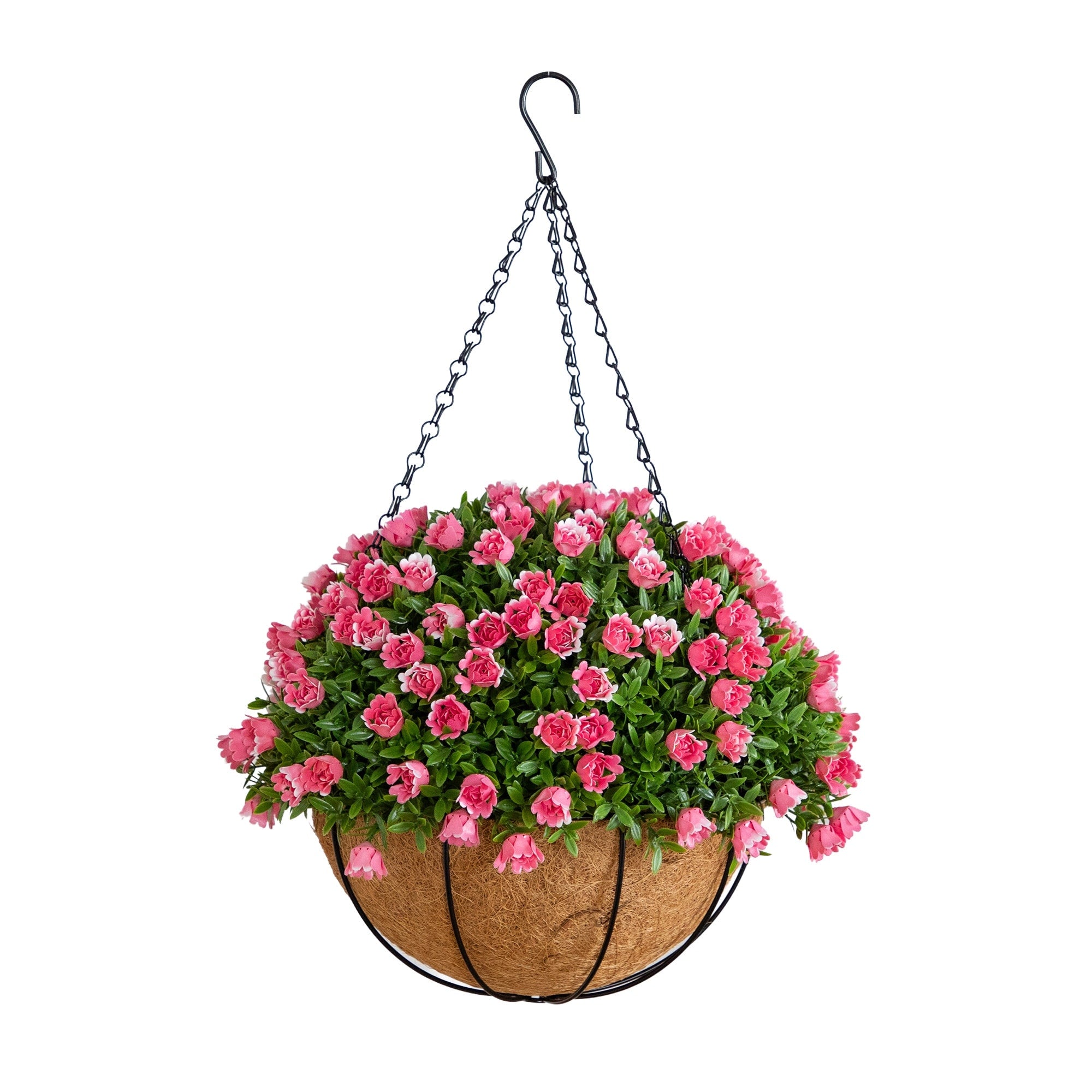 19 In Uv Resistant Mini Rose And Aptenia Hanging Basket