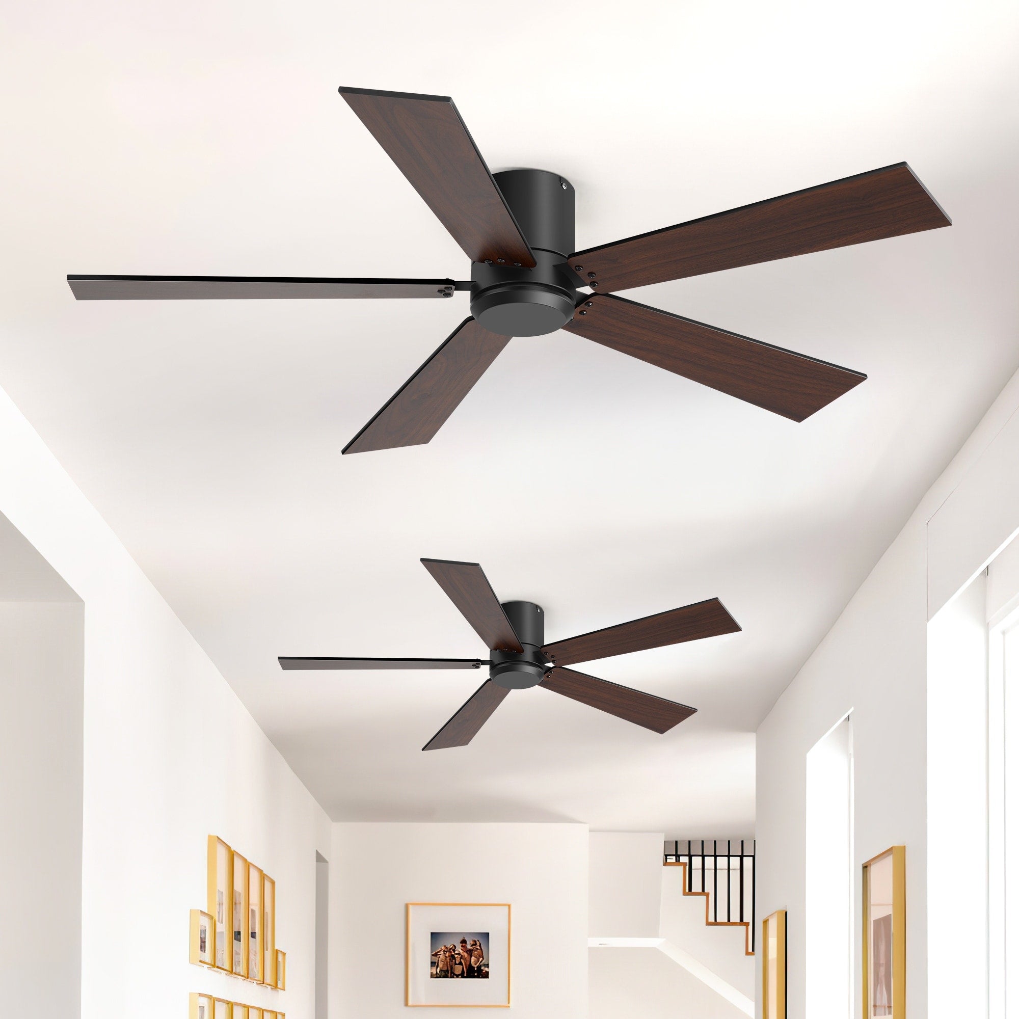 2 Pack 42 Ceiling Fan No Light 5 Blade Black Wood Finish 6 Speed Dc Motor Reversible Quiet Flush Mount Remote Control