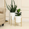 2 Piece White Round Metal Planters And Gold Stand