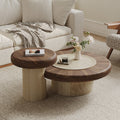 2 Piece Modern Dual Wood Coffee Table Set Walnut Light Wood Carved Base Stylish Living Room Center Side Table Combo