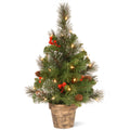 2 Foot Crestwood Spruce Tree With Clear Lights