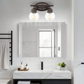 2 Light Vanity Lamp Glass Metal Light Fixtures Bronze Bathroom Light N A