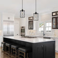 2 Pack Hanging Plug Light Metal Light Fixture Black Pendant Light N A