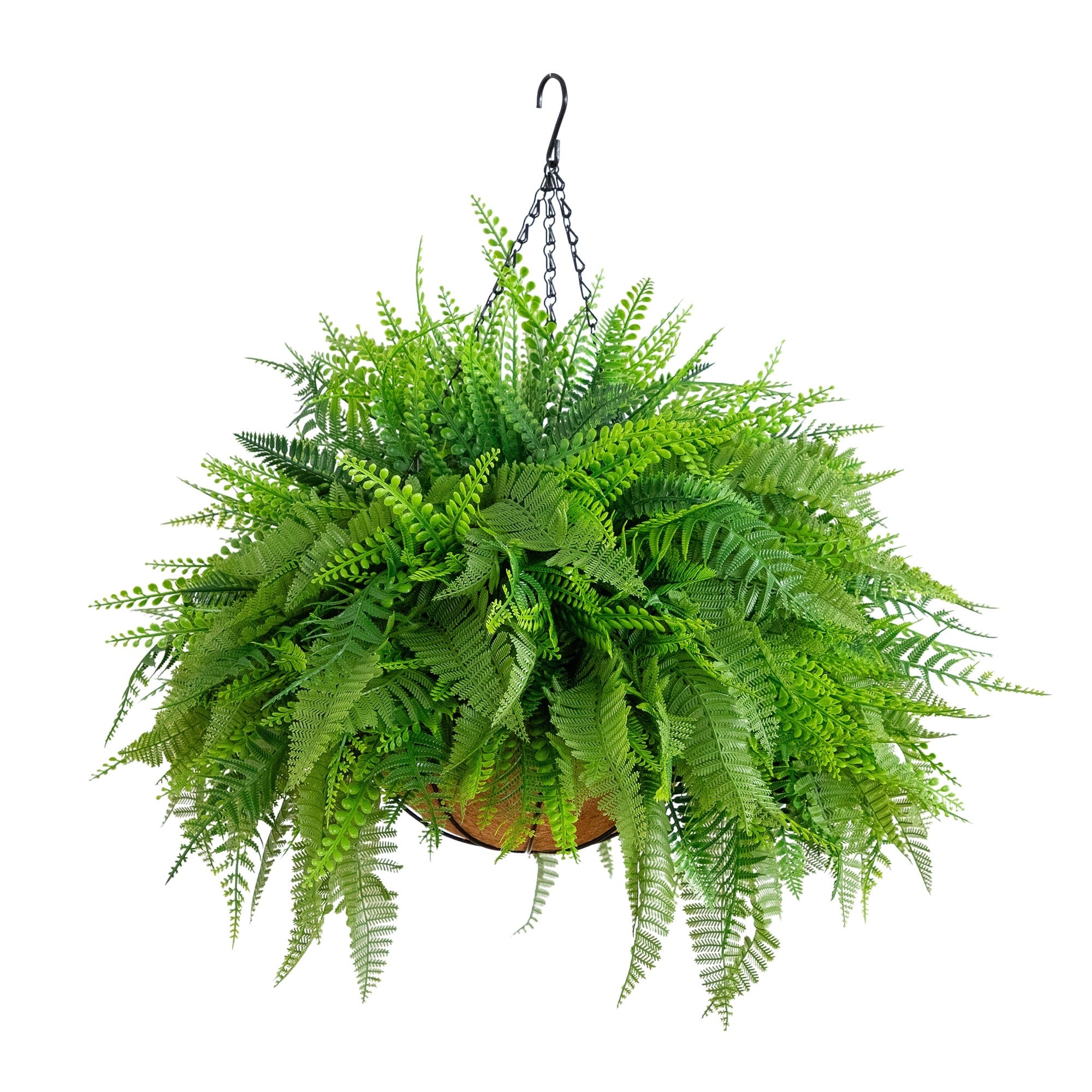 20 In Uv Resistant Mixed Fern Hanging Basket Indoor Outdoor