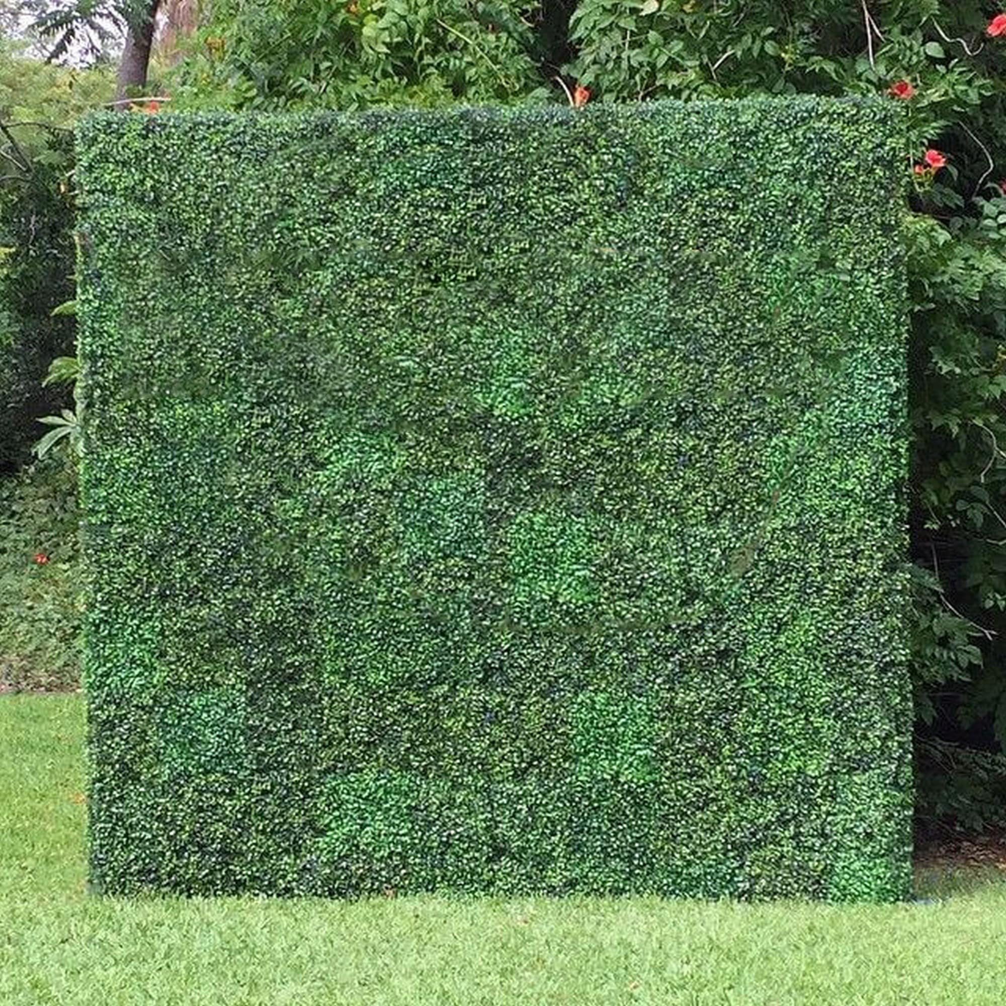 Artificial Boxwood Hedge Greenery Panels 10 X10 Pc