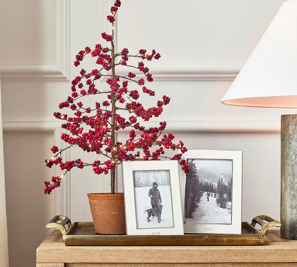 Pottery Barn 2025 Dated Enamel Frame